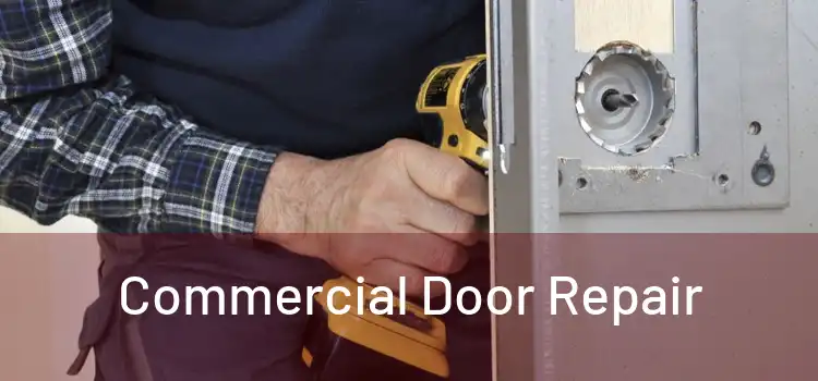  Commercial Door Repair 
